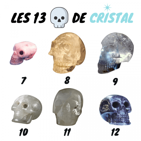 photo des 13 cranes de cristal