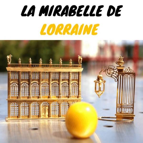 GUIDE-mirabelle-de-lorraine