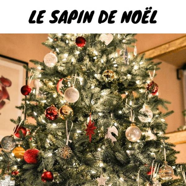 tout savoir sur histoire du sapin de noel