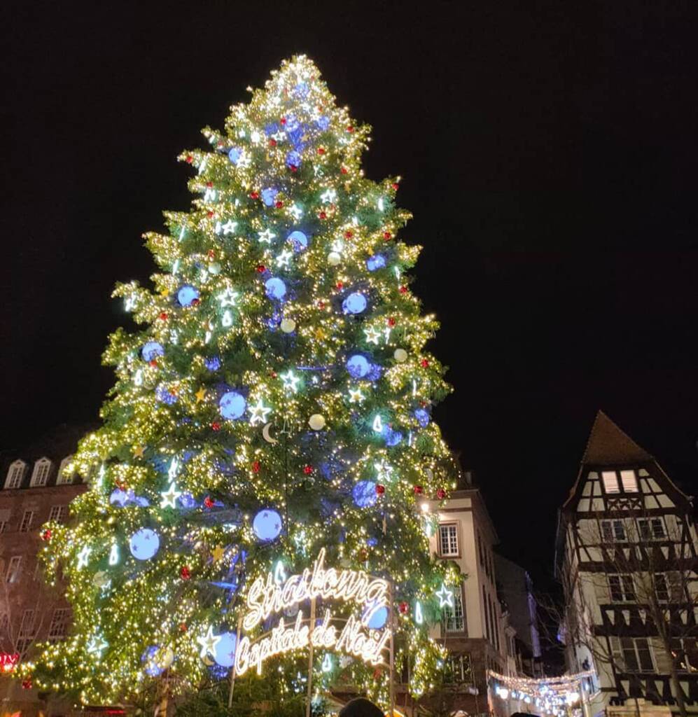 sapin-de-noel-strasbourg