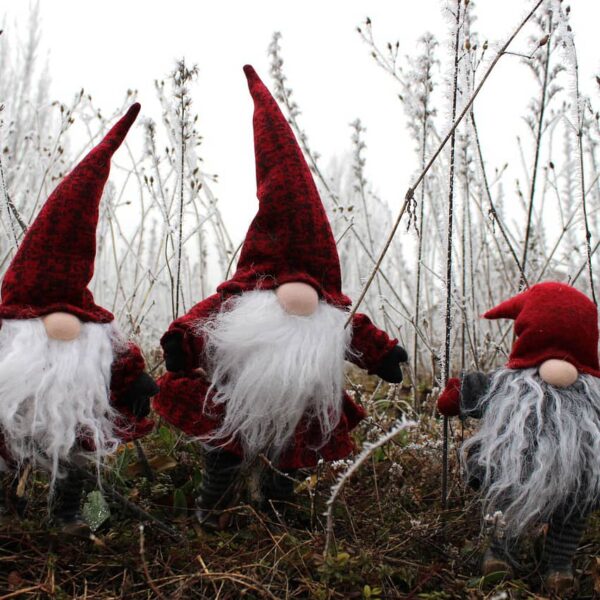 lutin-pere-noel