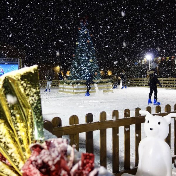 marche-de-noel-nancy-patinoire