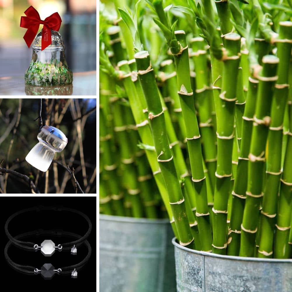 Introducir 136+ imagen idée cadeau nouvelle maison fr.thptnganamst.edu.vn