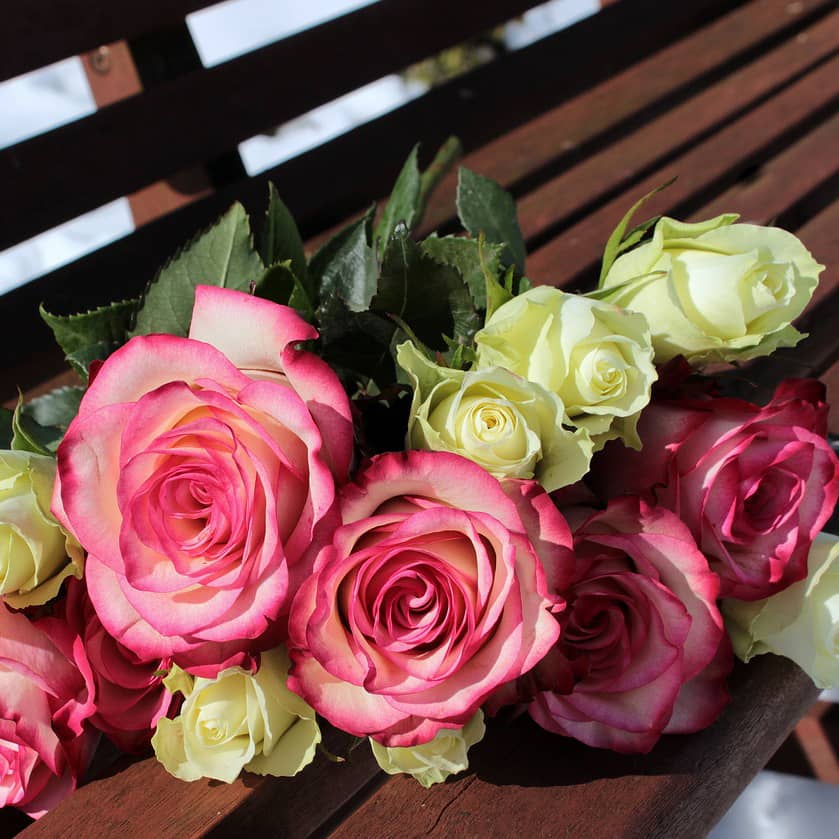 Les 7 significations d'une rose blanche - Michaël Vessière