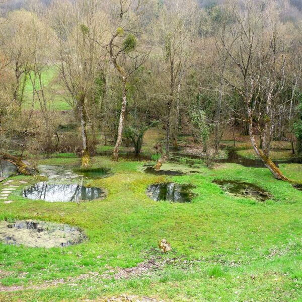 jardin-eau-des-ROISES