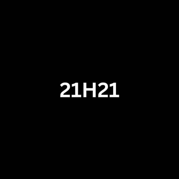 21-h21