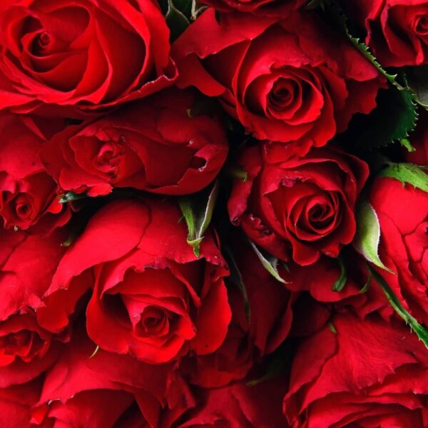 bouquet-de-roses-noces-de-mariage