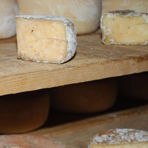 fromage-basque-Ossau-Iraty
