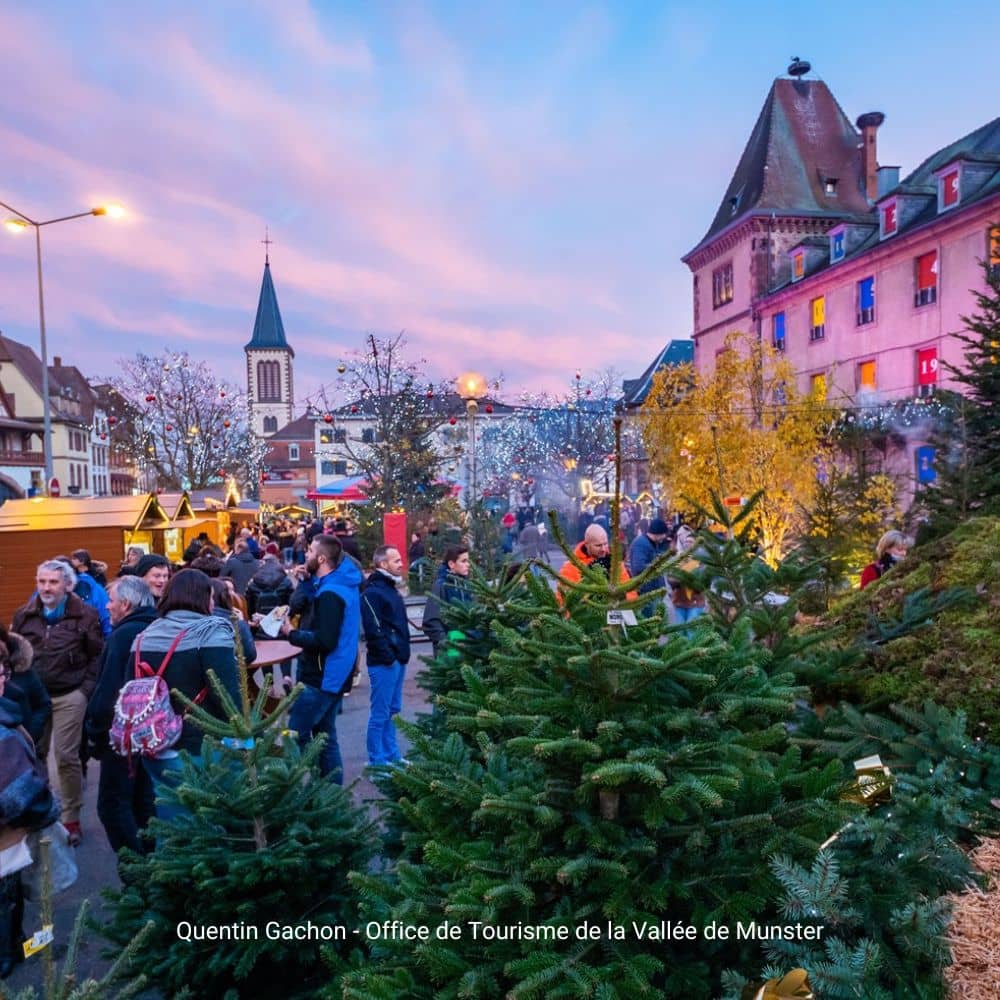 marche-de-Noel-Munster