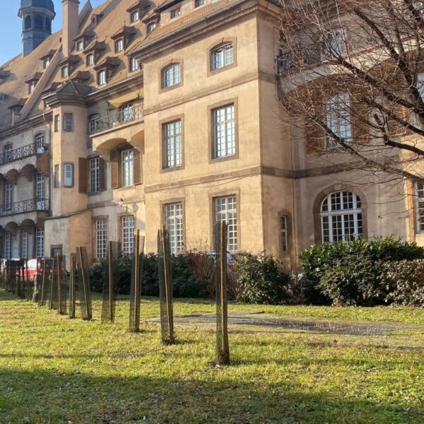 cave-des-hospices-de-strasbourg