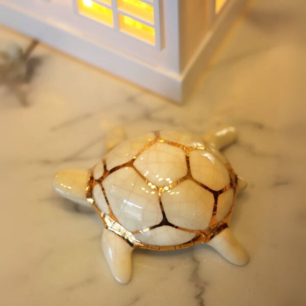 les-symboles-de-la-tortue