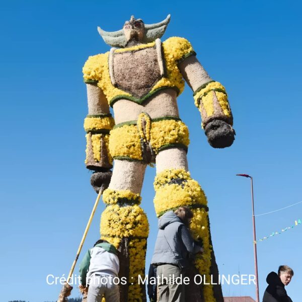 Jonquilles-en-Fete-gerardmer